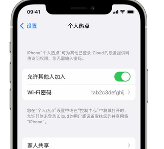 天桥apple服务站点分享iPhone上个人热点丢失了怎么办 