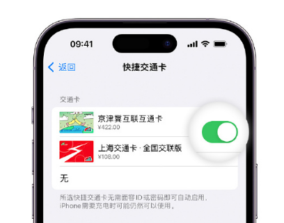 天桥apple维修点分享iPhone上更换Apple Pay快捷交通卡手绘卡面 