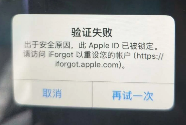 天桥iPhone维修分享iPhone上正常登录或使用AppleID怎么办 