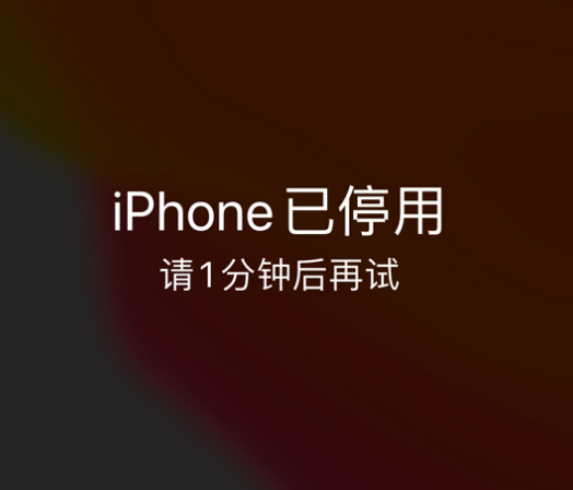 天桥苹果手机维修分享:iPhone 显示“不可用”或“已停用”怎么办？还能保留数据吗？ 