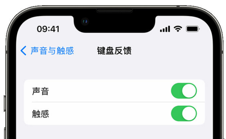 天桥苹果手机维修分享iPhone 14触感键盘使用方法 