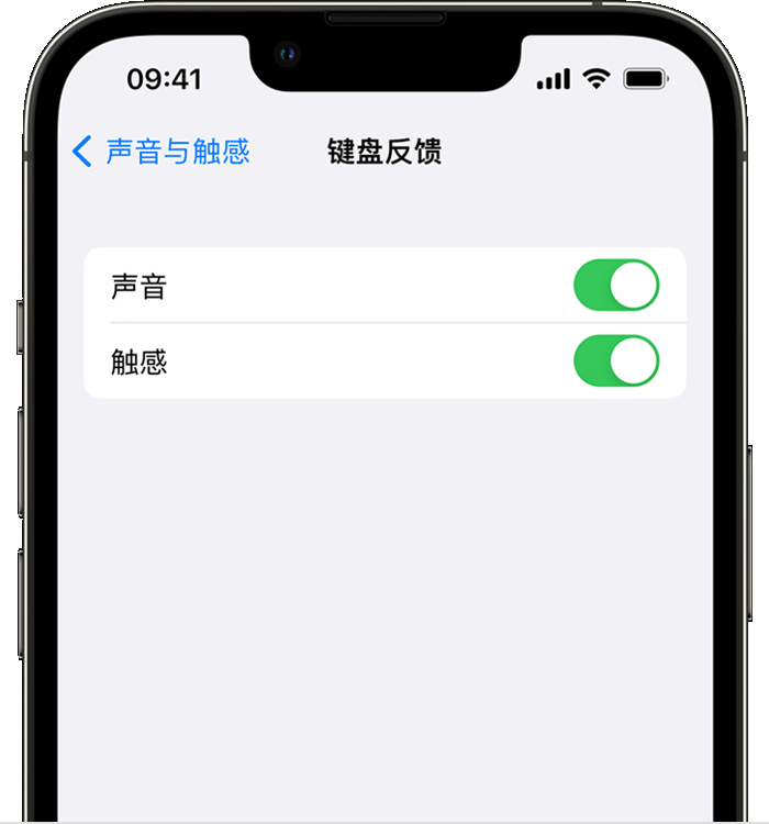 天桥苹果14维修店分享如何在 iPhone 14 机型中使用触感键盘 