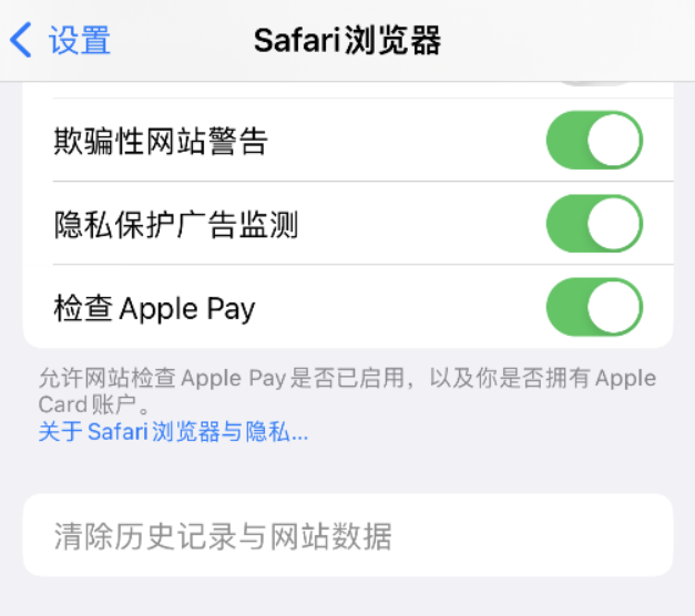 天桥苹果手机维修分享Safari 浏览器清除历史记录无法使用怎么办 