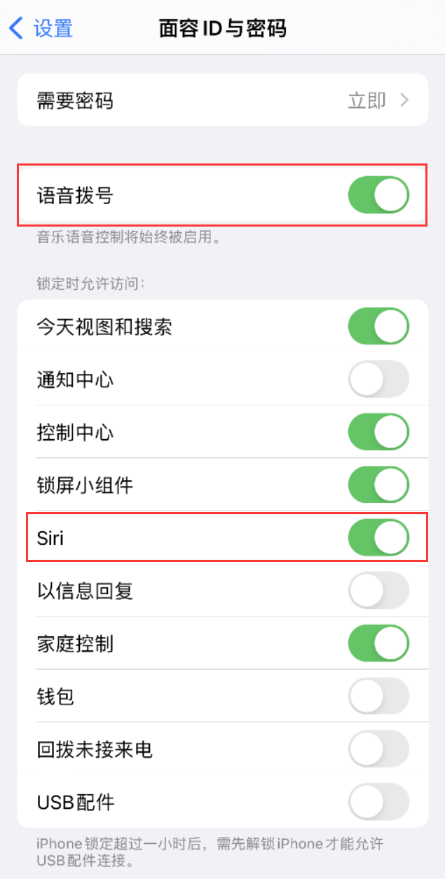 天桥苹果维修网点分享不解锁 iPhone 的情况下通过 Siri 拨打电话的方法 