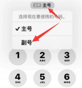 天桥苹果14维修店分享iPhone 14 Pro Max使用副卡打电话的方法 