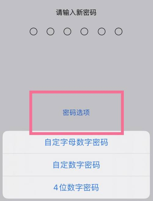 天桥苹果14维修分享iPhone 14plus设置密码的方法 