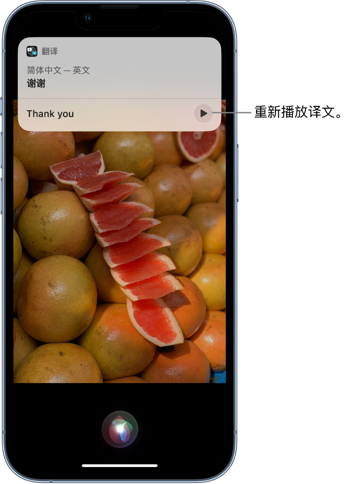 天桥苹果14维修分享 iPhone 14 机型中使用 Siri：了解 Siri 能帮你做什么 