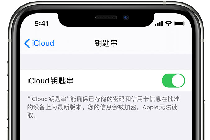 天桥苹果手机维修分享在 iPhone 上开启 iCloud 钥匙串之后会储存哪些信息 