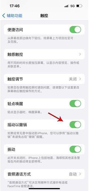 天桥苹果手机维修分享iPhone手机如何设置摇一摇删除文字 