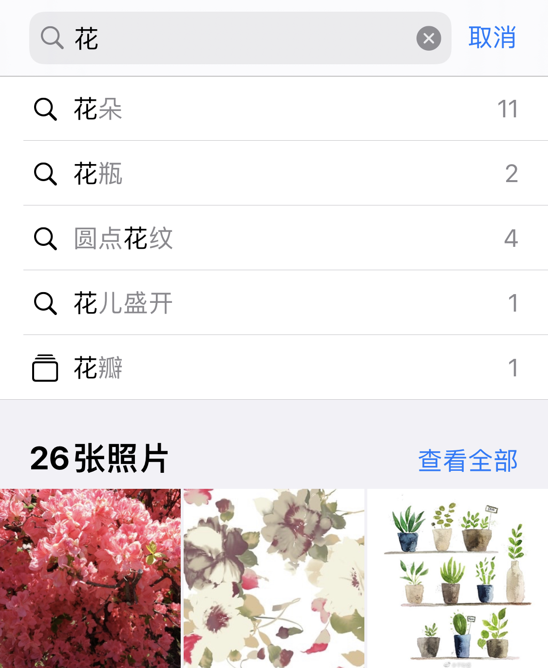 天桥苹果手机维修分享iPhone 小技巧 