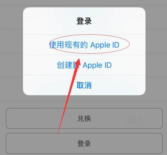 天桥苹果手机维修分享两台iPhone设备可以同时登录一个Apple ID吗 